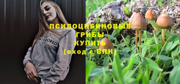 спайс Балабаново